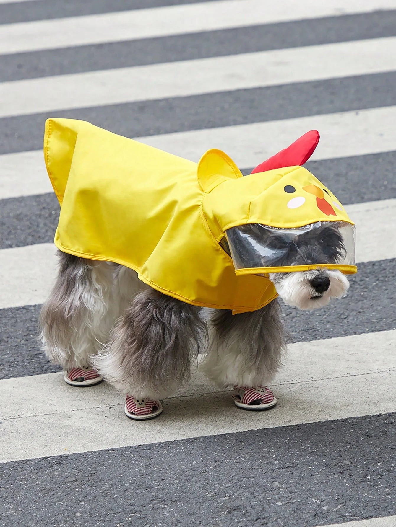 PETSIN Cartoon Chicken Pet Raincoat