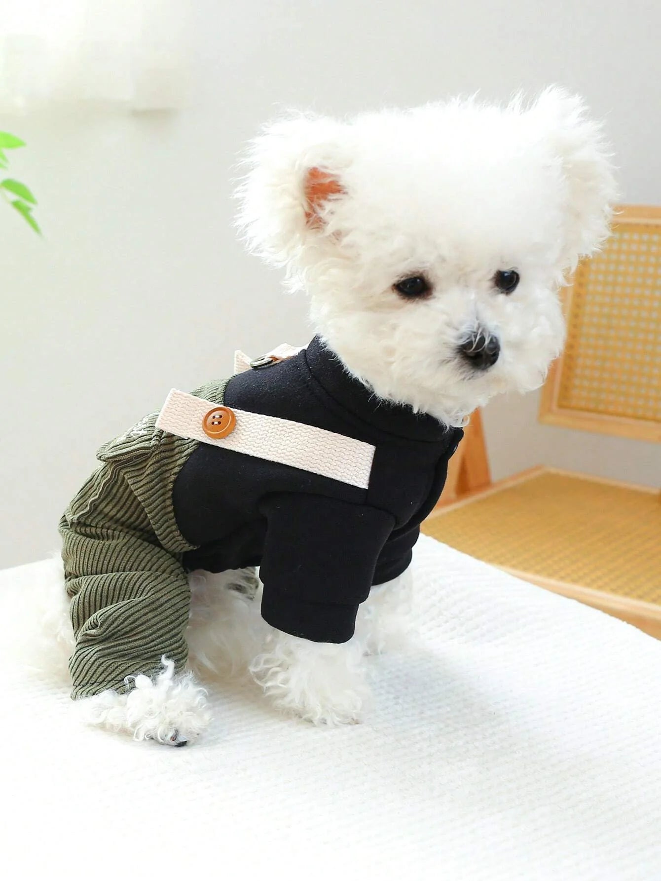 PETSIN Corduroy Pet Jumpsuit