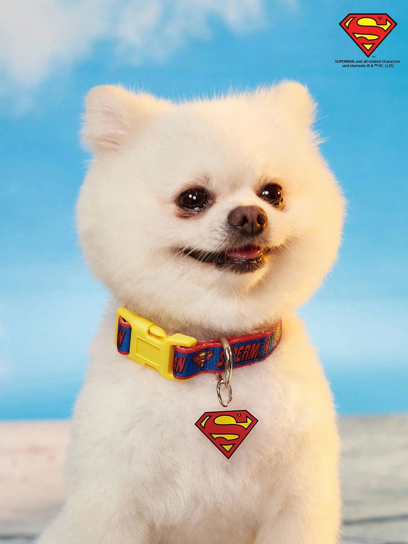 SUPERMAN PETSIN Dog Collar