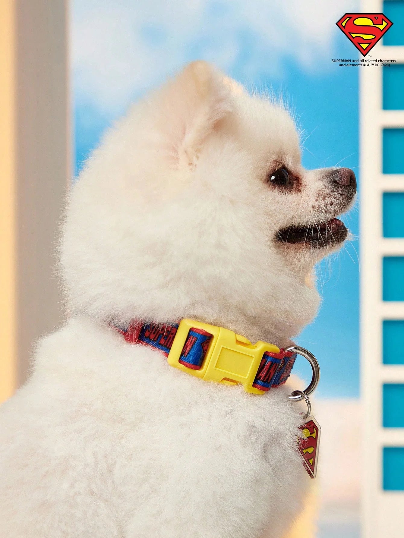 SUPERMAN PETSIN Dog Collar