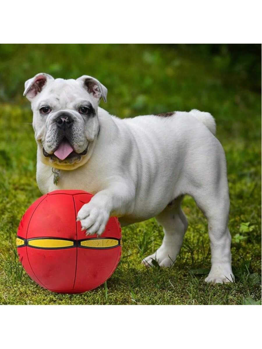 UFO Flying Dog Ball Toy