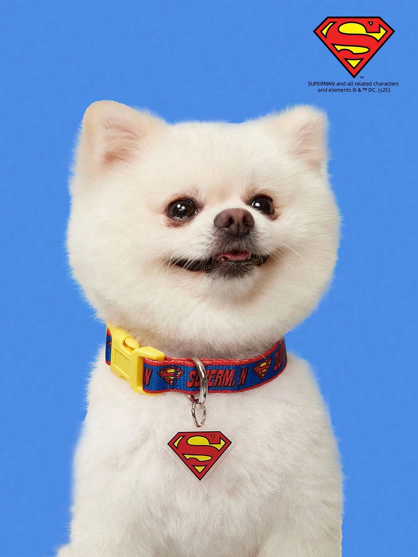 SUPERMAN PETSIN Dog Collar