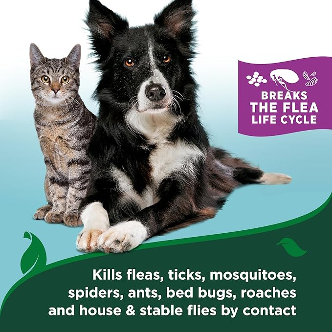 Vet's Best Natural Flea & Tick Easy Spray for Cats – Natural Flea & Tick Prevention with Cotton Spice Scent – Plant-Based Cat Spray with Essential Oils – Gentle Pest Control Formula – 14 oz Bottle