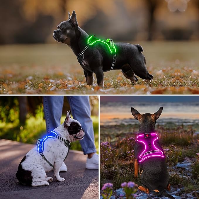 Light Up Dog Harness, No Pull LED Dog Harness with Handle, Rechargeable Lighted Safety Vest for Small Medium Large Dogs, Adjustable Soft Dog Lights for Night Walking