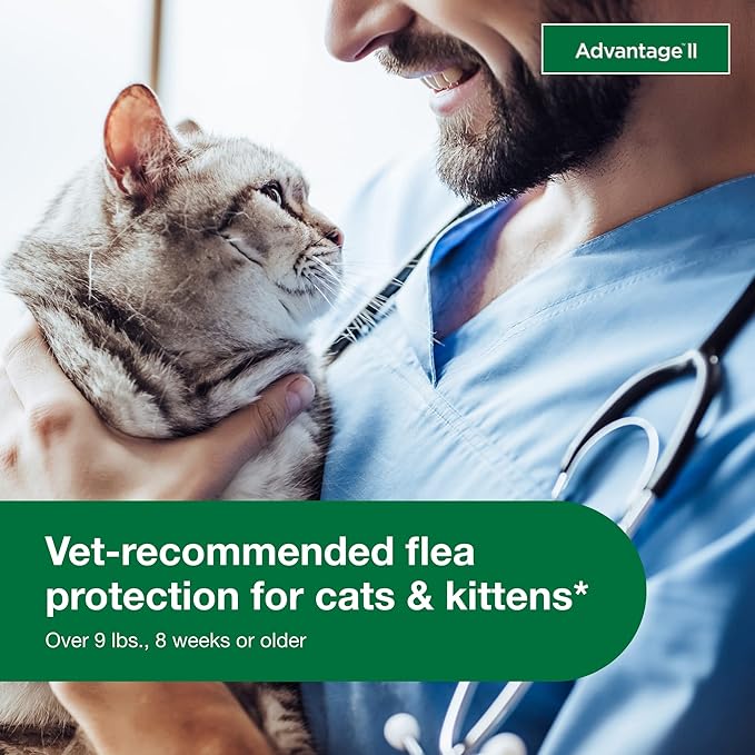 Advantage II Small Cat Vet-Recommended Flea Treatment & Prevention | Cats 5-9 lbs. | 8-Month Supply