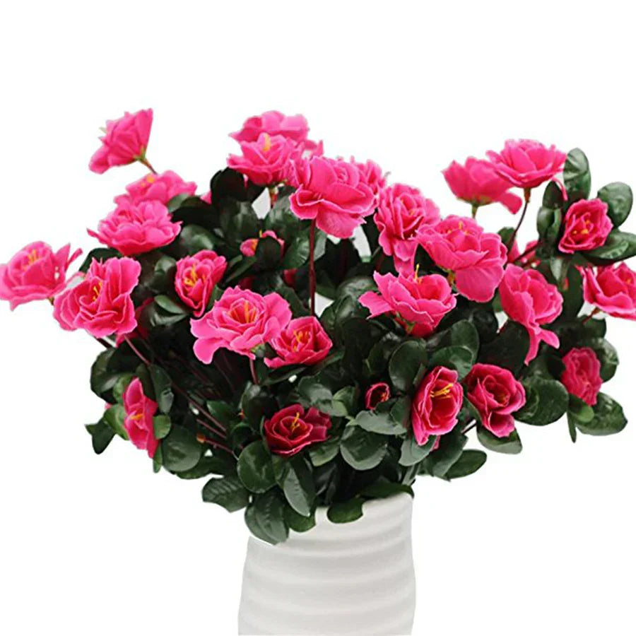 UV Resistant Red Azalea